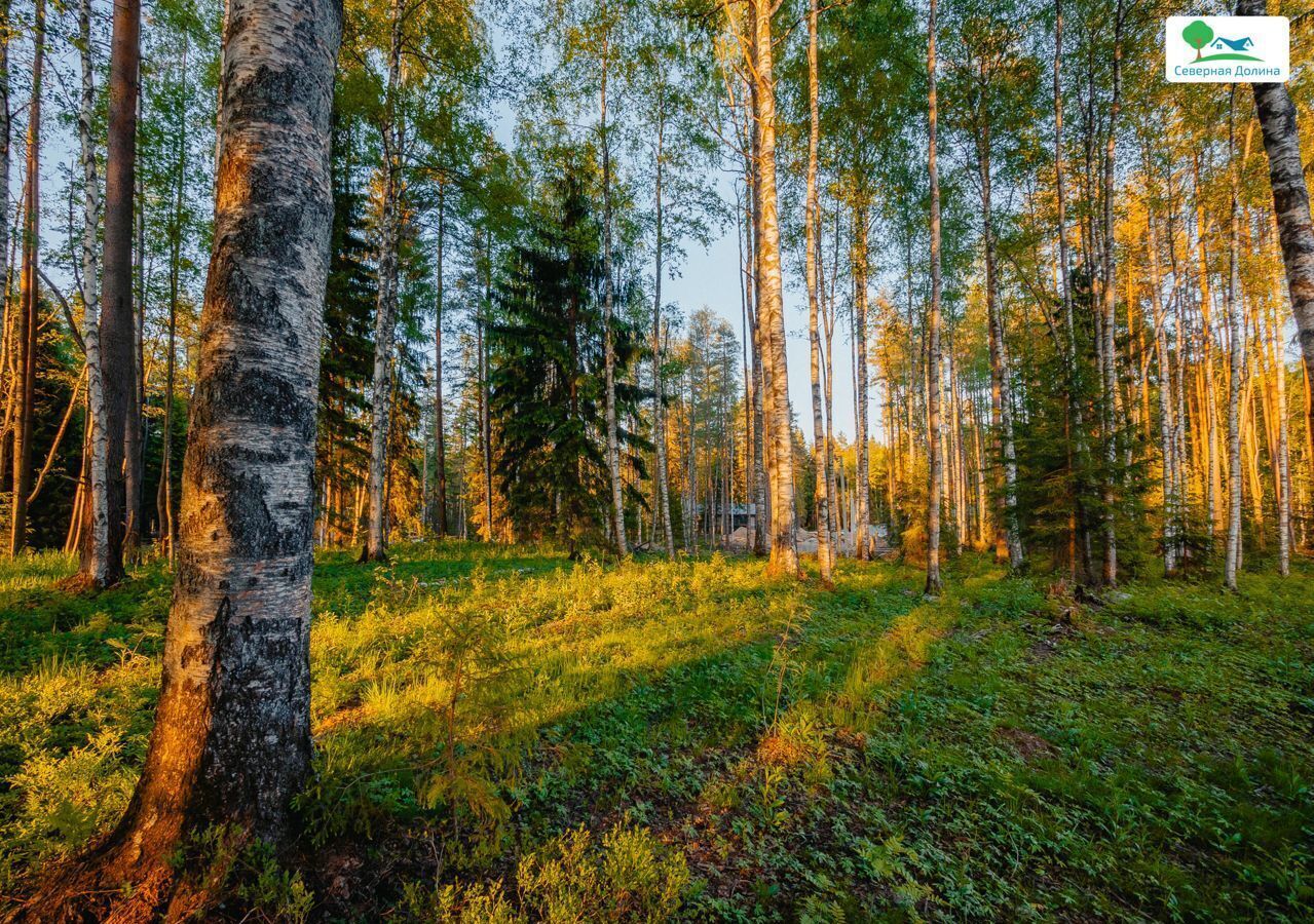 земля р-н Всеволожский 22 км, Всеволожский р-н, Токсовское городское поселение, коттеджный пос. Экофорест, Лесколово, Ленинградское шоссе фото 7