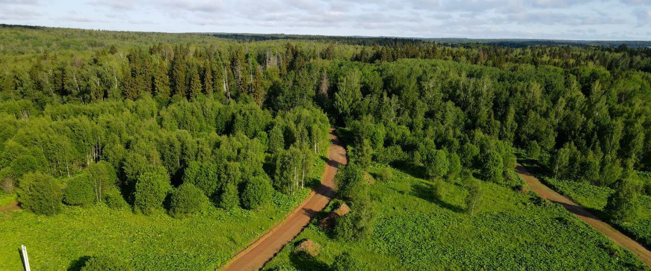 земля г Балашиха кв-л Изумрудный 1, Дмитровский городской округ фото 14