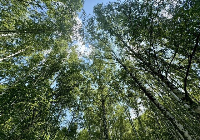 р-н Пензенский с/с Воскресеновский сельсовет Пензенского района Пензенской области снт Малиновка Воскресеновский сельсовет, 1140, Засечное фото