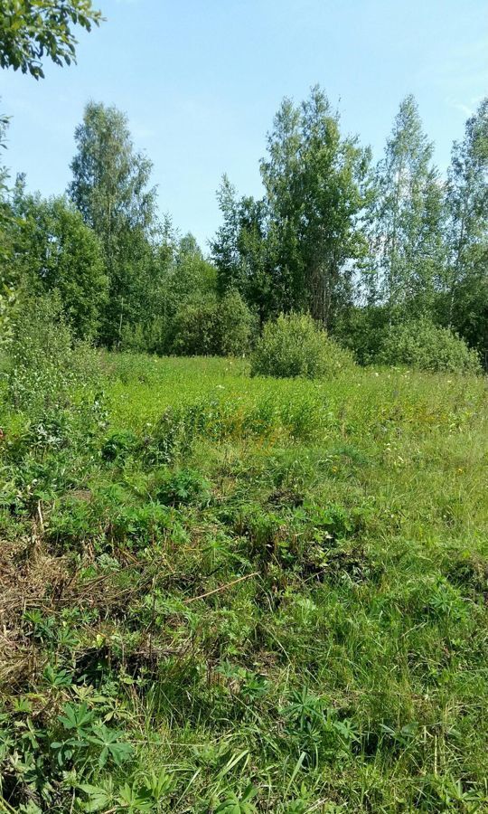 земля г Клин д Нагорное 77 км, городской округ Клин, Высоковск, Ленинградское шоссе фото 8