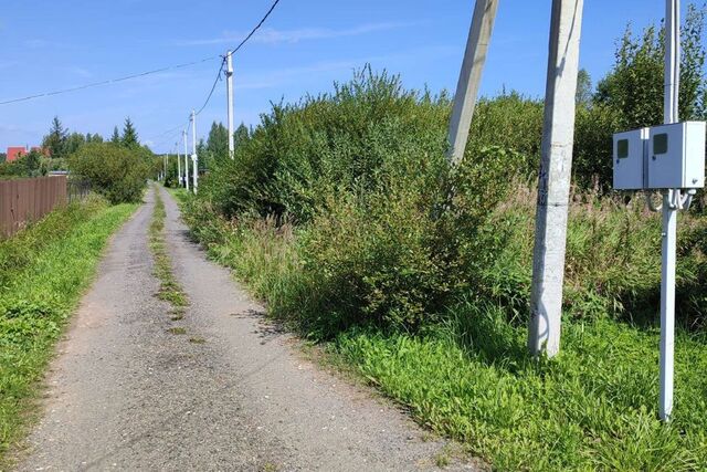 садовое товарищество Лужок фото