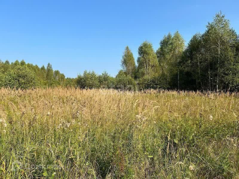 земля городской округ Серпухов ДНТ Лисенки фото 1