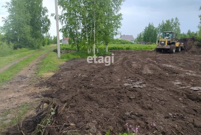 снт Долгая Нива Ивангородское городское поселение фото