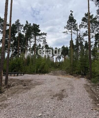 ул Мужества Ладожская фото