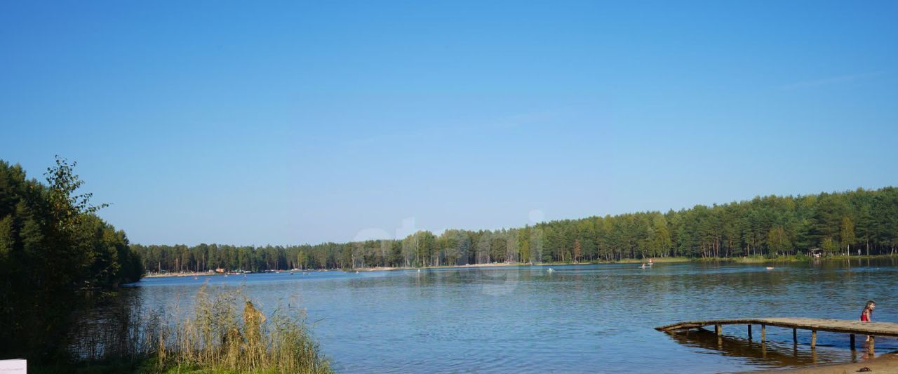 земля р-н Тосненский д Коркино Любанское городское поселение, Улица Дыбенко, 20 фото 18