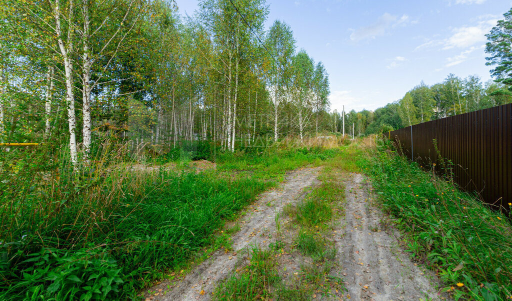 земля р-н Нижнетавдинский снт Геолог-2 фото 15