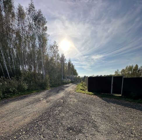 д Холуденево ул Осиновая 18 фото