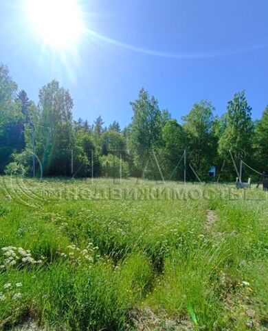 снт Зеленая Долина Трасса Скандинавия, 98 км, Каменногорское городское поселение, Выборг фото