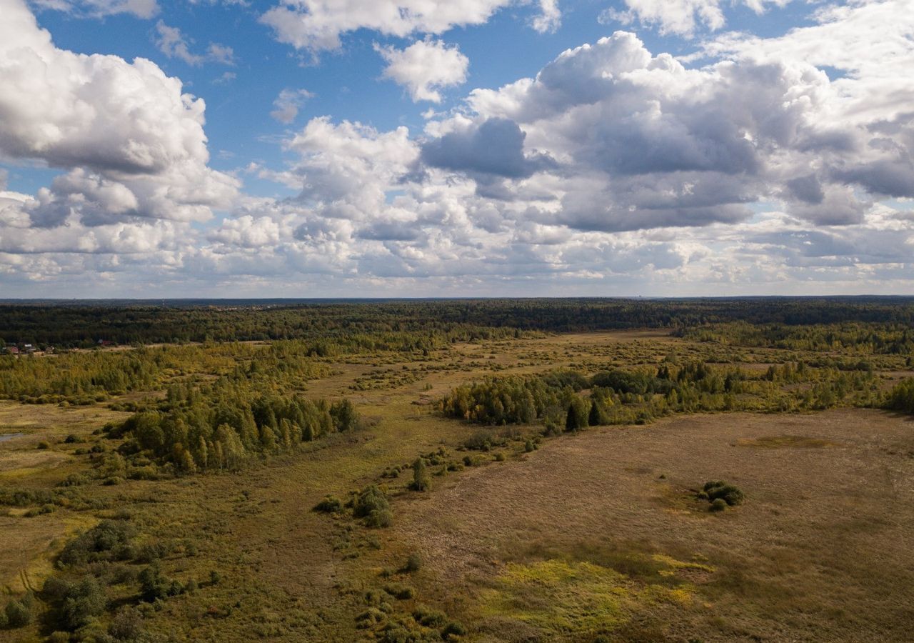 земля городской округ Истра д Алёхново 41 км, Истра, Пятницкое шоссе фото 14