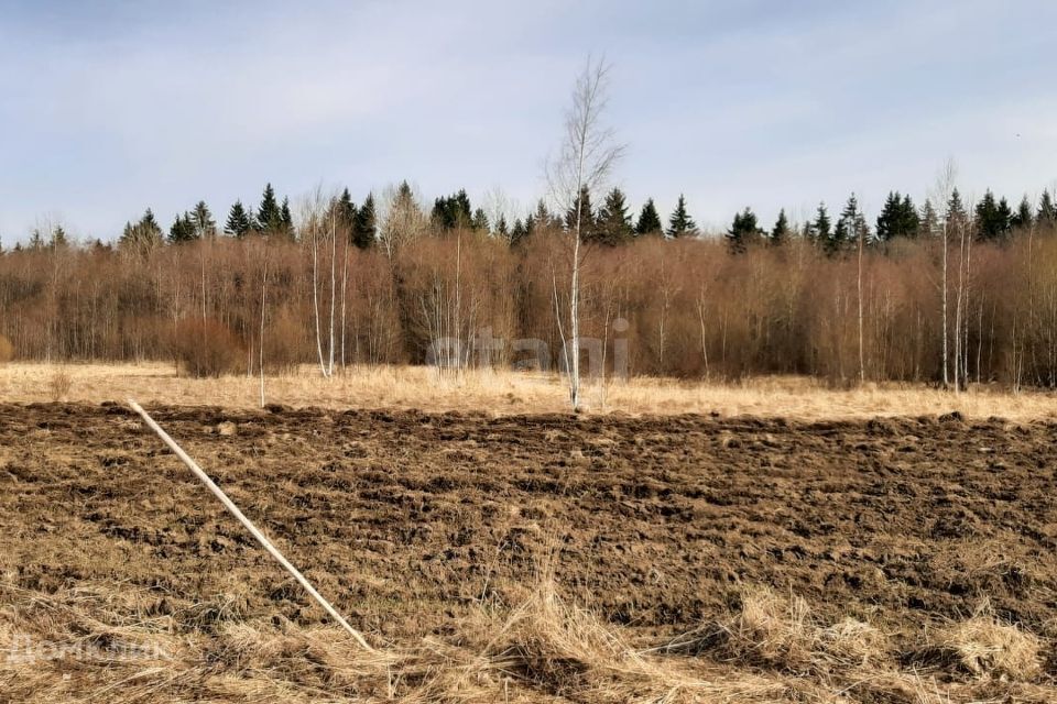 земля р-н Гатчинский д Авколево 11 фото 1