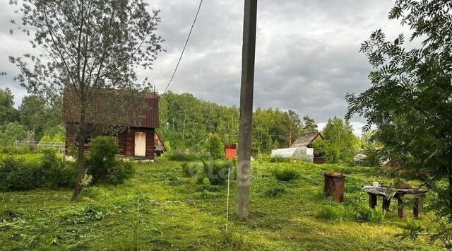 р-н Новосибирский снт Ключи-2 Барышевский сельсовет фото