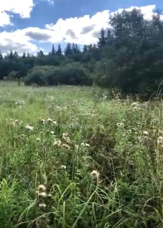 земля городской округ Волоколамский д Себенки фото 10