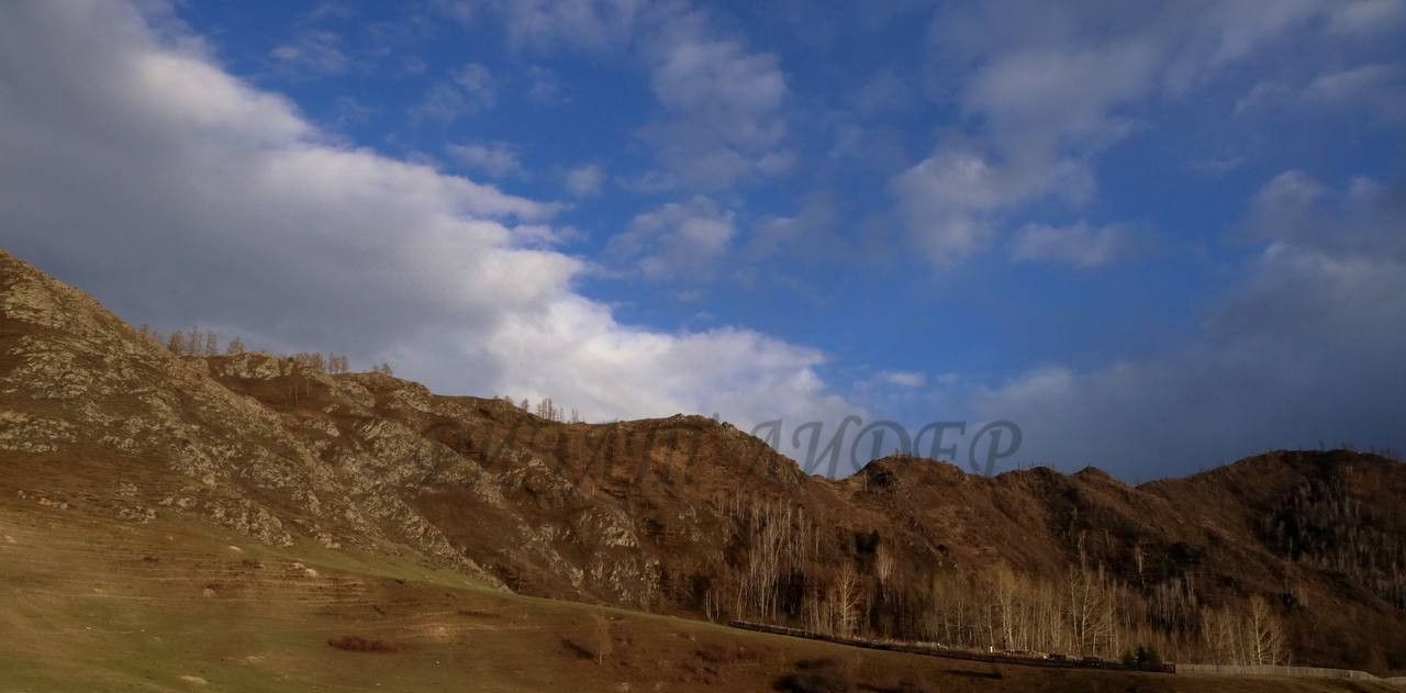 земля р-н Усть-Коксинский с Верх-Уймон фото 5