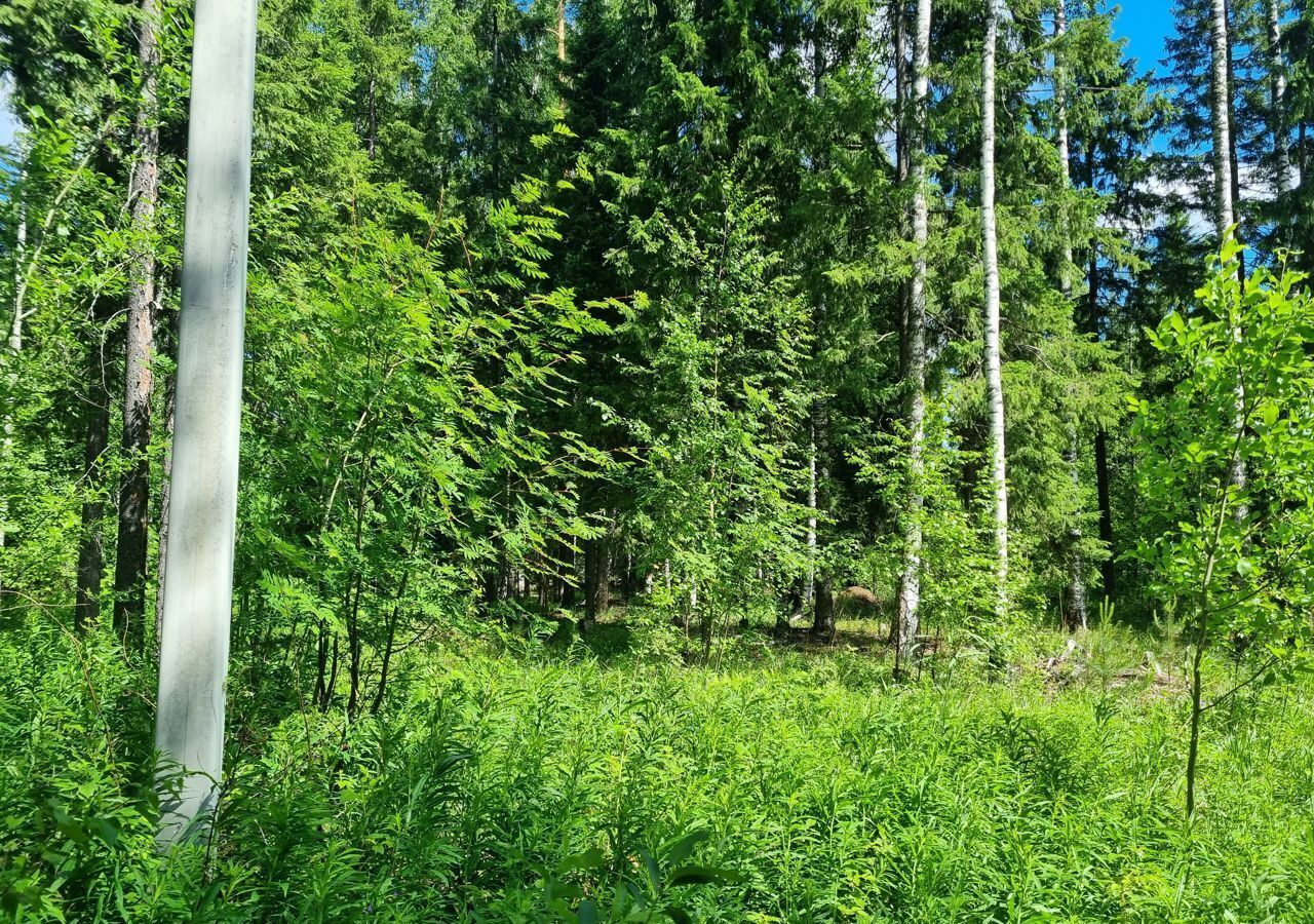 земля г Югорск Тюменская обл. фото 10