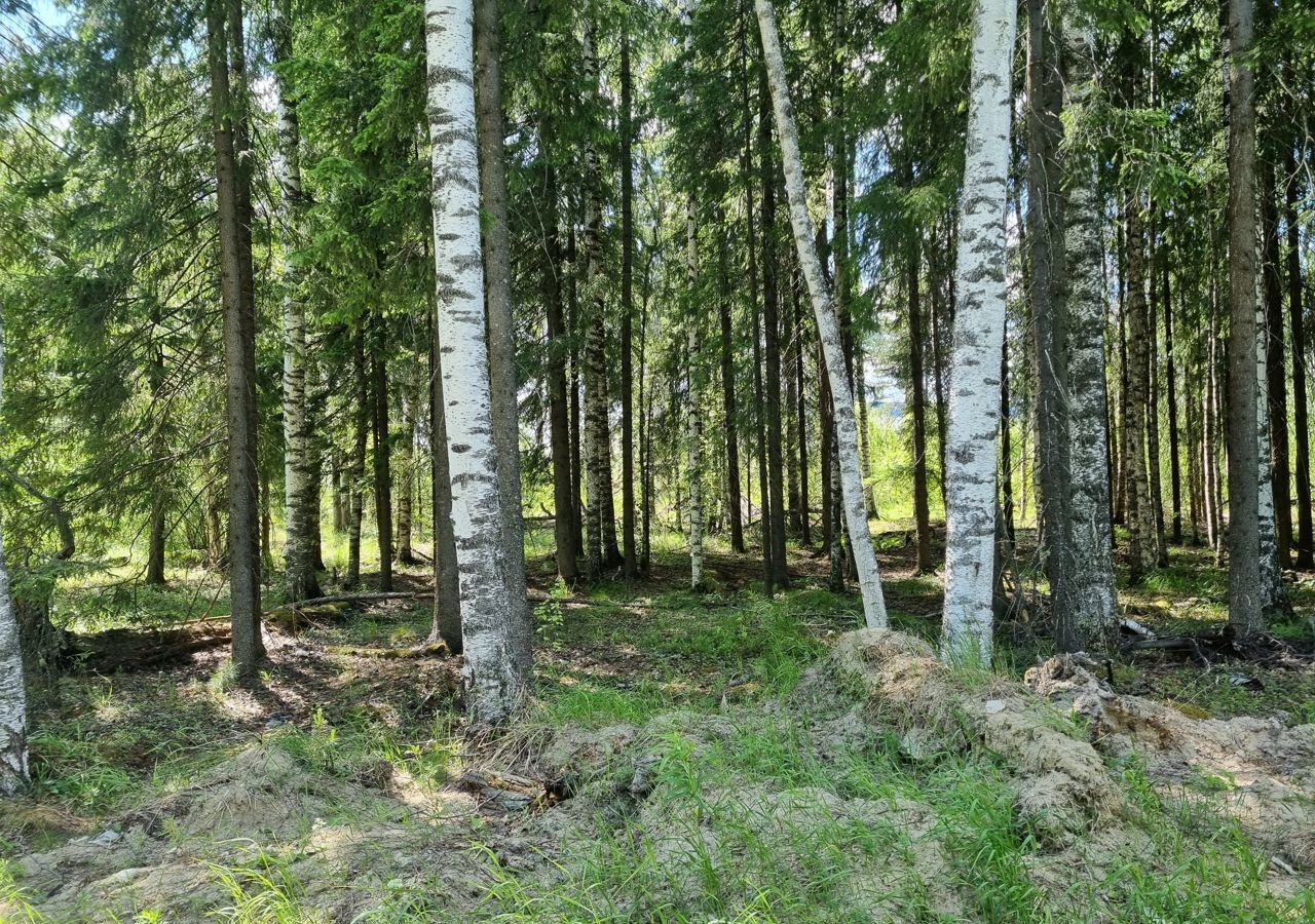 земля г Югорск Тюменская обл. фото 11