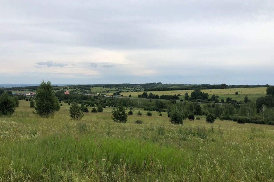 земля р-н Новокузнецкий Кемеровская область — Кузбасс, село Сосновка фото 2