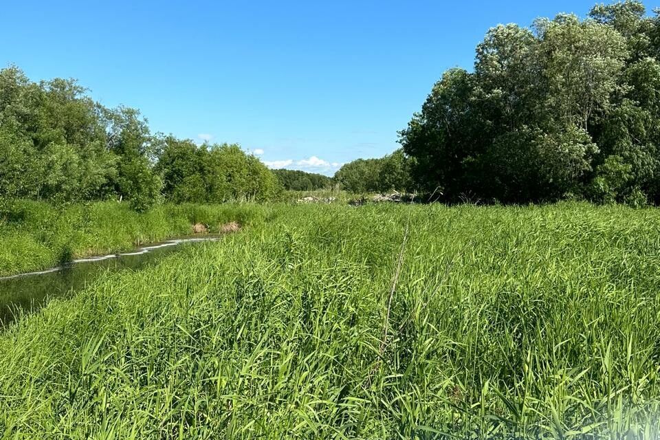 земля р-н Приморский СНТ Пригородный фото 5