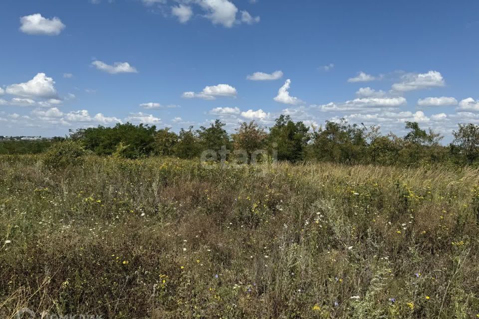 земля р-н Белгородский СНТ Автомобилист фото 9