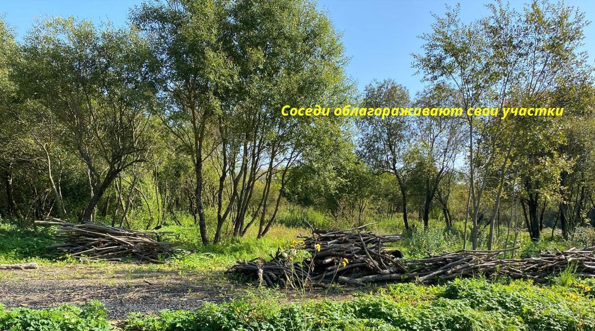 земля р-н Гатчинский Тайцы городской поселок, Бик Лэнд Бизнес участки фото 6