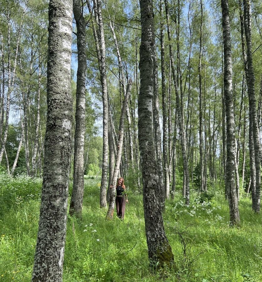 земля городской округ Можайский д Блазново 93 км, Можайск, Минское шоссе фото 5