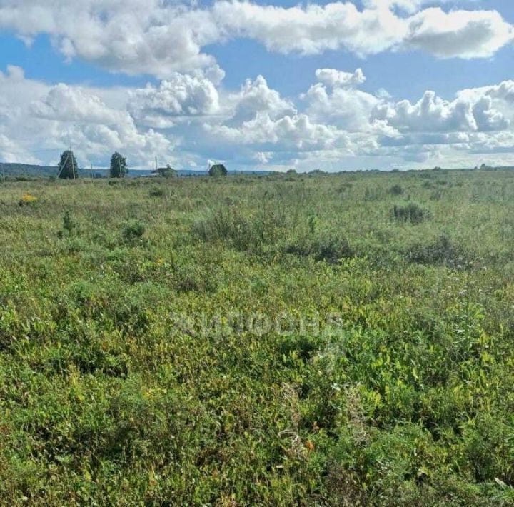 земля р-н Томский снт тер.Стрижи ул Магистральная фото 1