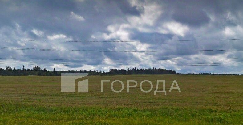 земля городской округ Можайский д Заречье днп Зареченские просторы ДНП, 6 фото 6