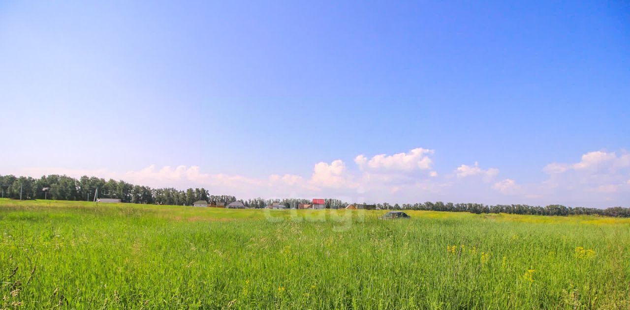 земля р-н Павловский п Молодежный фото 13