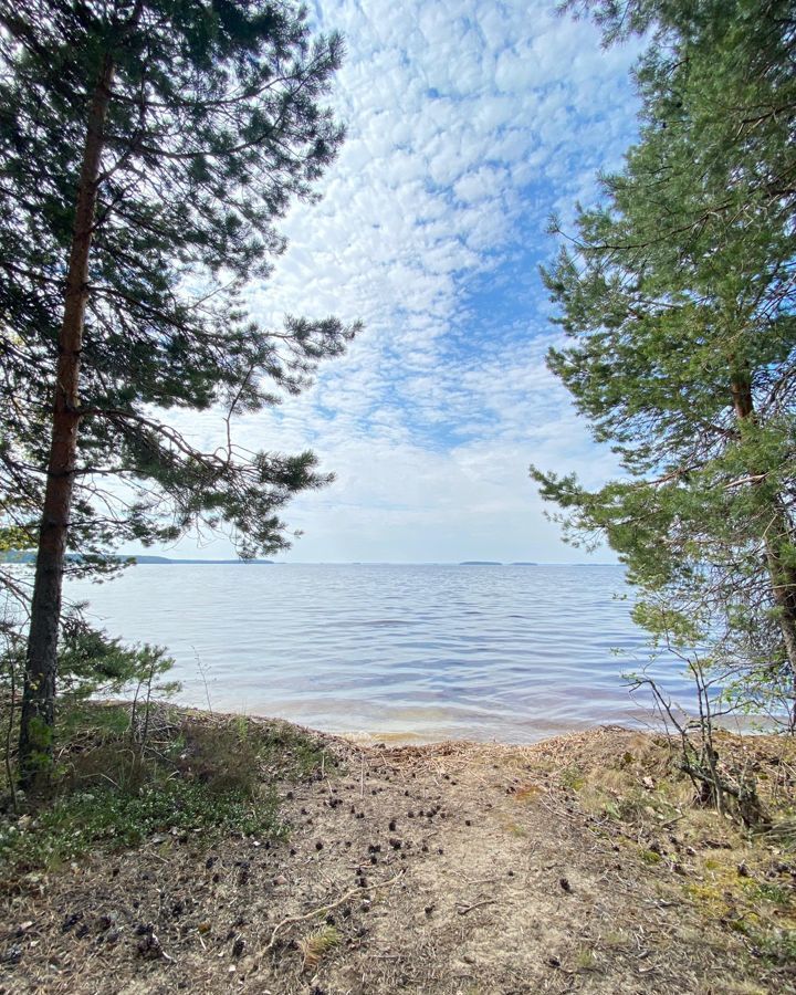 земля р-н Пряжинский п Кудама Эссойльское сельское поселение, Суоярви фото 13