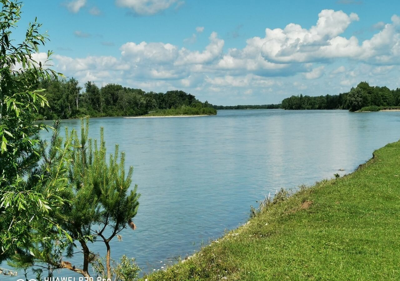 земля р-н Турочакский с Озеро-Куреево ул Береговая Турочак фото 22