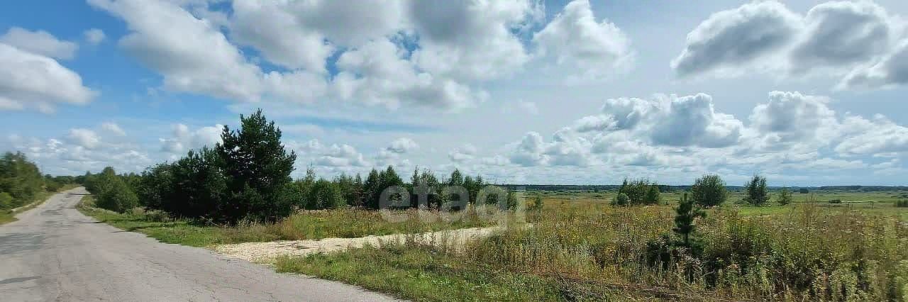 земля р-н Ковровский с Большие Всегодичи ул Центральная Малыгинское с/пос фото 7