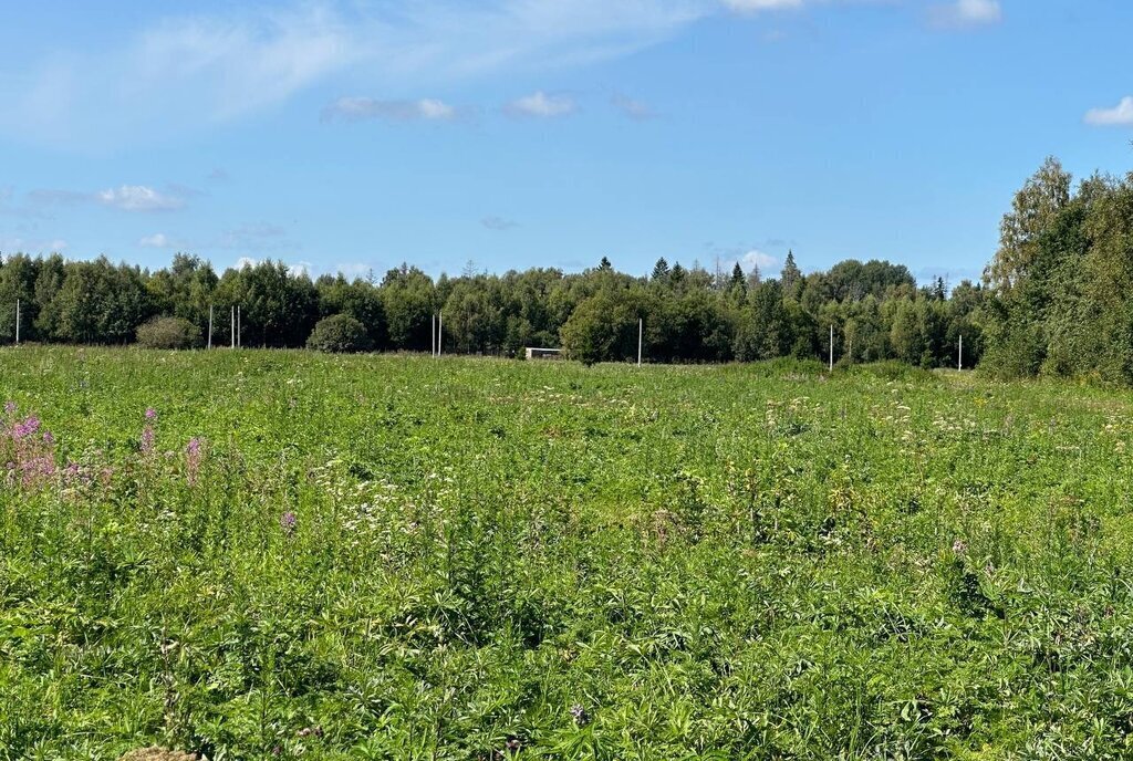 земля городской округ Истра д Денежкино фото 25