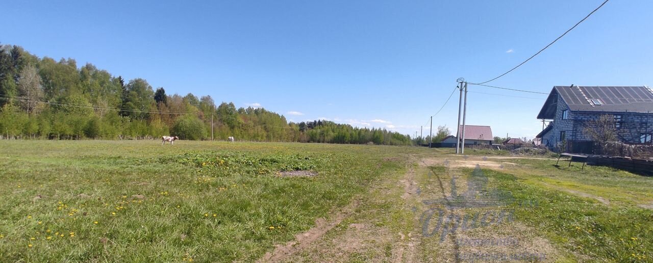 земля р-н Чкаловский с Вершилово ул Чкалова Заволжье, г. о. Чкаловск фото 4