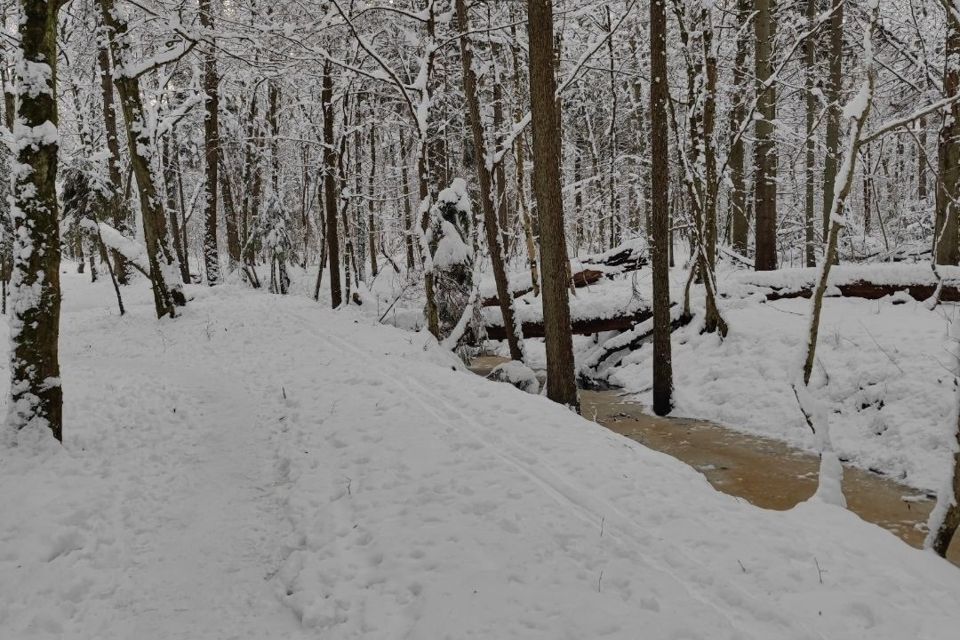 квартира г Калининград р-н Центральный ул Беланова 27 городской округ Калининград фото 8