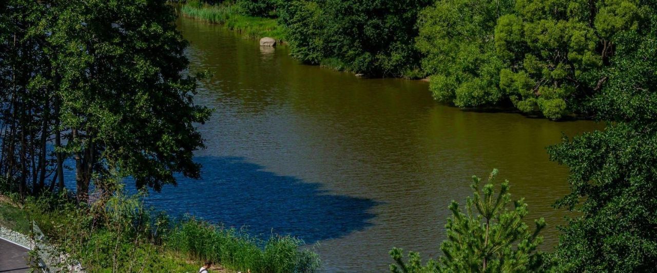 квартира г Сестрорецк ул Инструментальщиков 18 Беговая фото 13