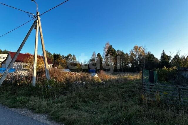 ул Лесная 36 Кингисеппское городское поселение фото