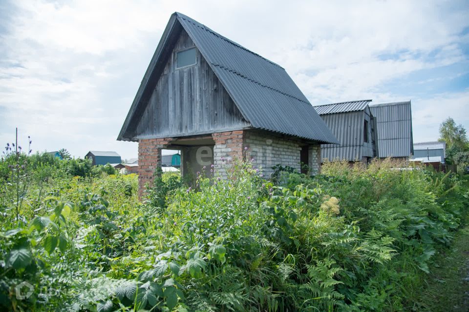 земля г Искитим городской округ Искитим, садовое товарищество Зелёный Бор фото 9