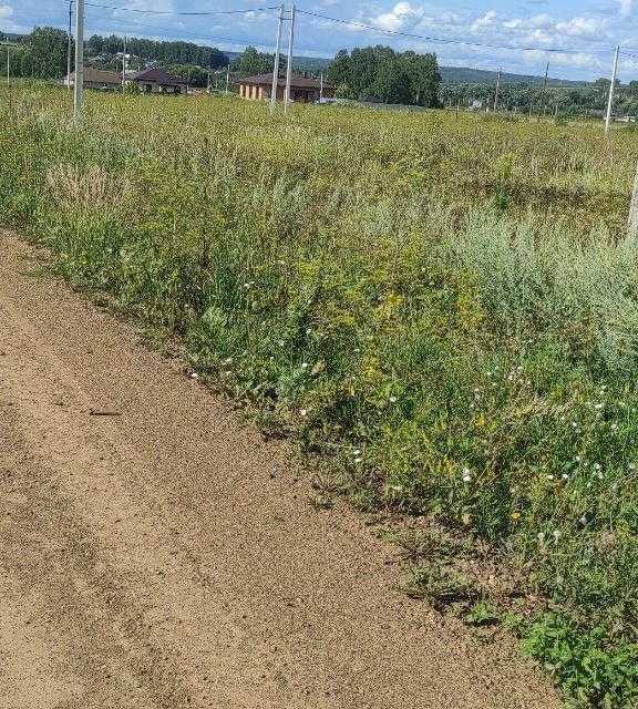 земля г Чайковский ул Калиновая Чайковский городской округ фото 2