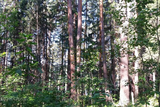 городской округ Ревда, посёлок Ледянка фото