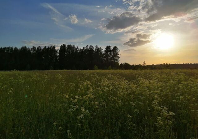 122 км, Уваровка, Минское шоссе фото