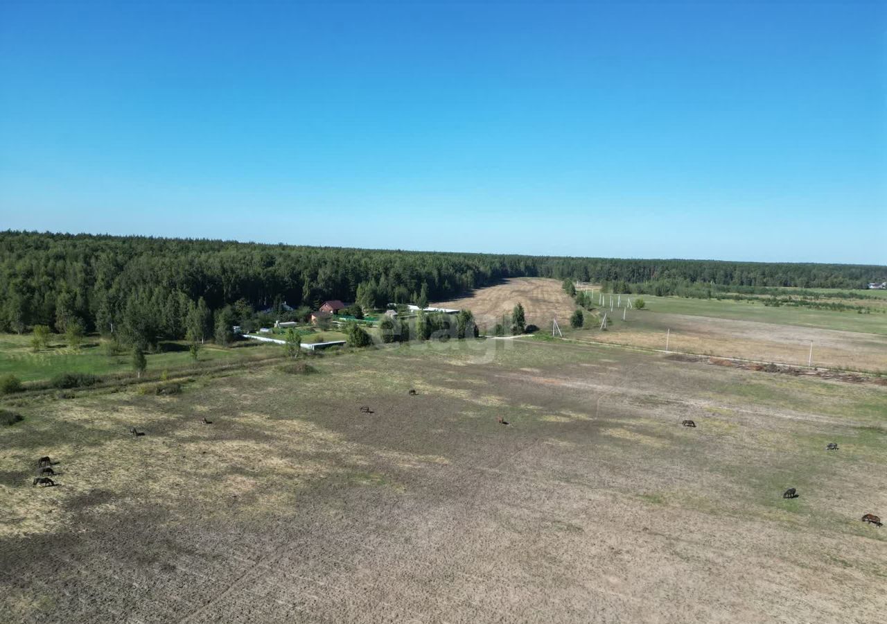 земля г Воскресенск тер Белоозерский 9771 км, территориальный отдел, городской округ Воскресенск, Белоозёрский, Егорьевское шоссе фото 6