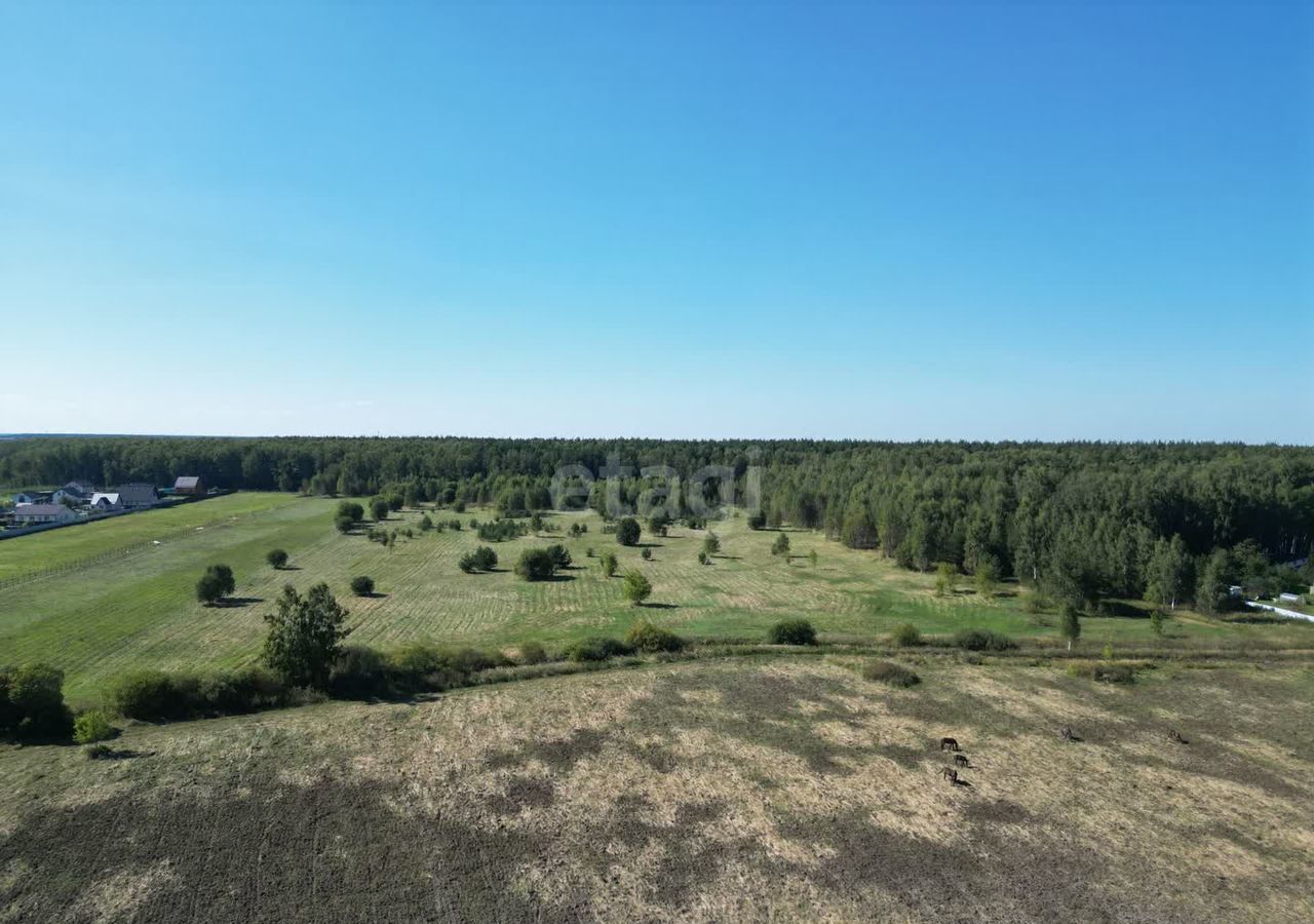 земля г Воскресенск тер Белоозерский 9771 км, территориальный отдел, городской округ Воскресенск, Белоозёрский, Егорьевское шоссе фото 8