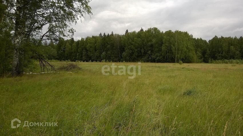 земля городской округ Талдомский фото 3