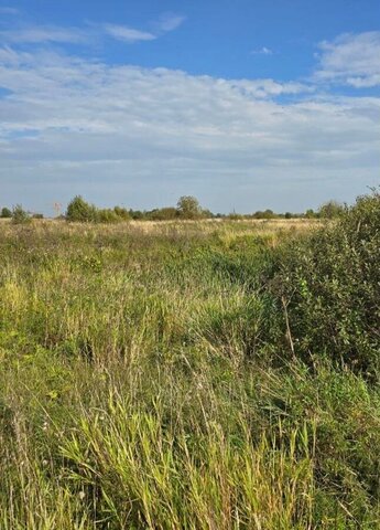 тер Сергиево 9739 км, Веревское сельское поселение, Ленинградская обл., Гатчинский р-н, д. Дони, Красносельское шоссе фото