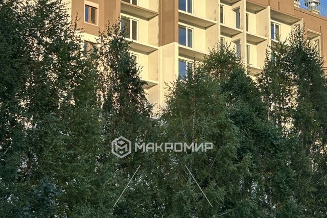 р-н Курчатовский Парковый ул Маршала Чуйкова 32 городской округ Челябинск фото