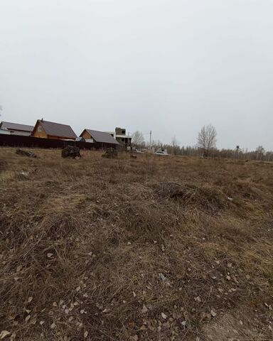 земля снт Журналист-2 Криводановский сельсовет фото