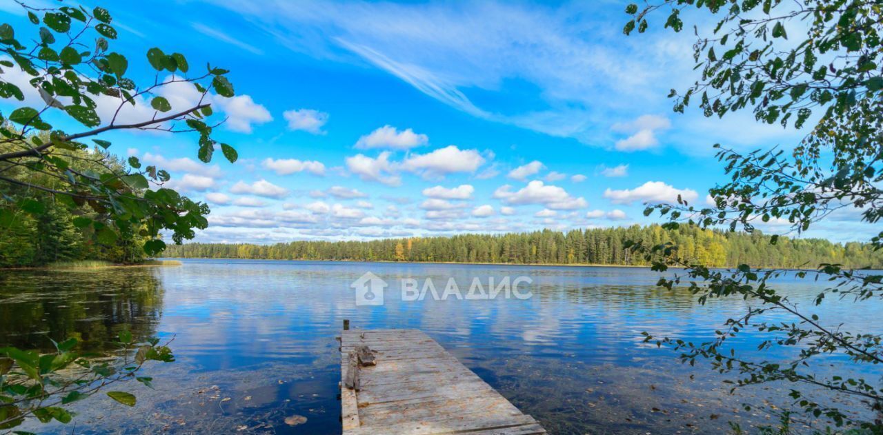 дом р-н Беломорский п Хвойный Пряжинское городское поселение фото 45