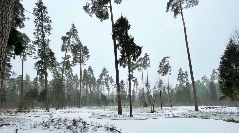 земля городской округ Одинцовский п Николина Гора Одинцово фото 6