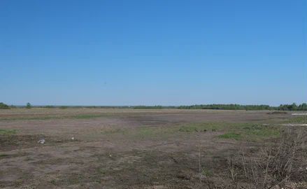 земля с Столбище ул Петра Гусева Столбищенское сельское поселение фото