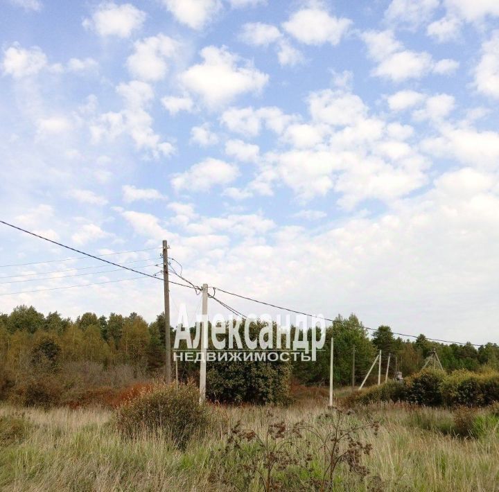 земля р-н Приозерский п Шушино ул Центральная Севастьяновское с/пос, Парнас фото 3