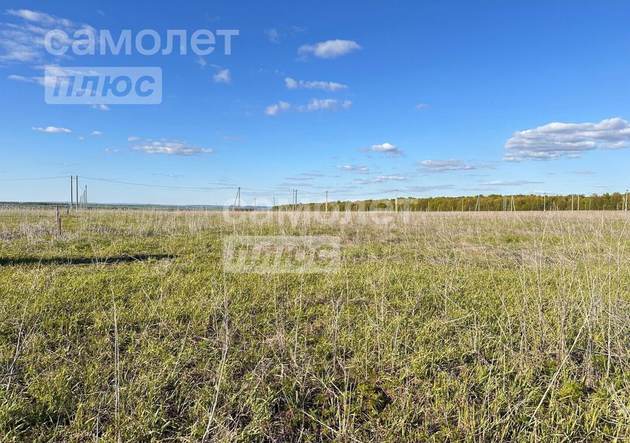 земля р-н Нижнекамский д Майская Горка ул Лесная Майскогорское сельское поселение, Камские Поляны фото 5